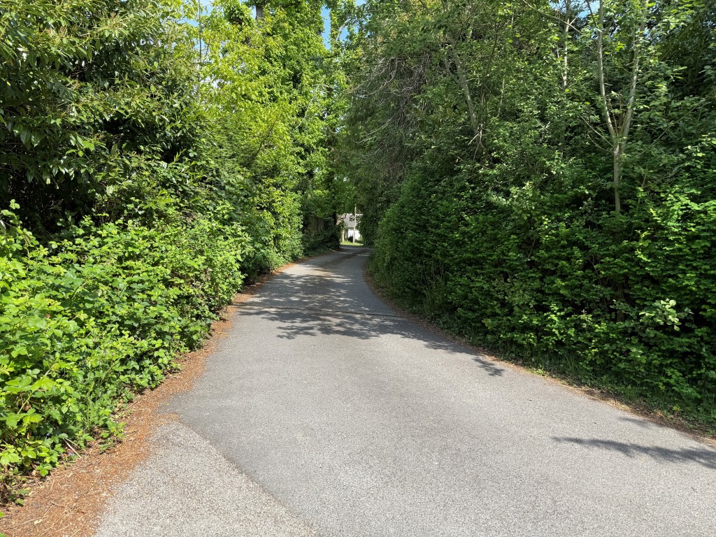 Lot: 20 - DRIVEWAY AND LAND WITH PARKING AND ACCESS - View of driveway from bottom
